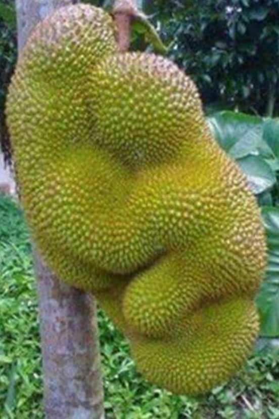 543