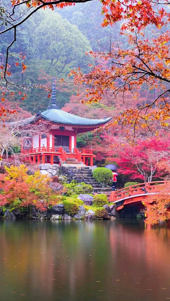 nature