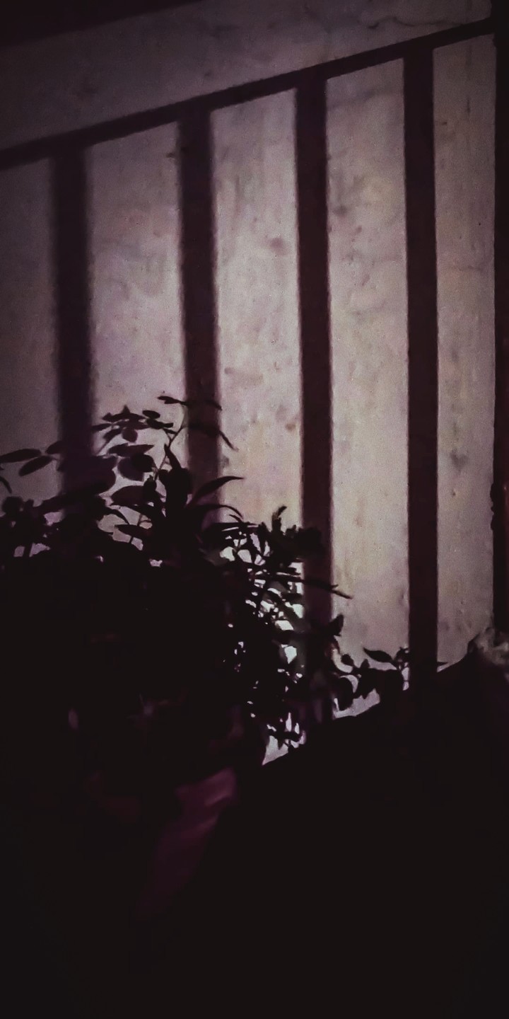 Night light