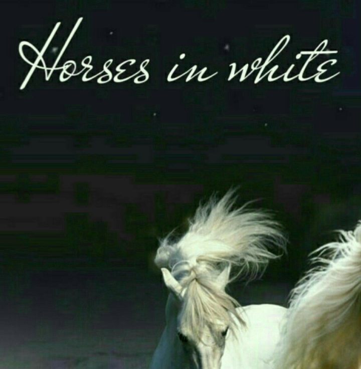 Horses in white. Photo from 4 parts.