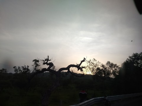 nature