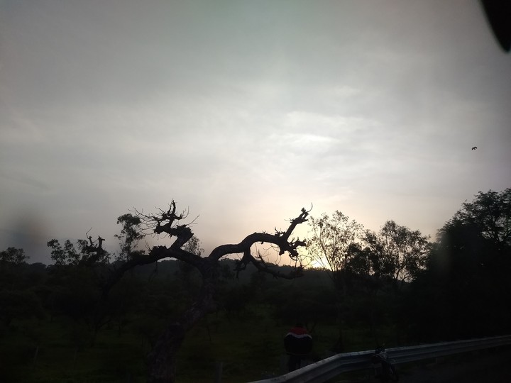 nature