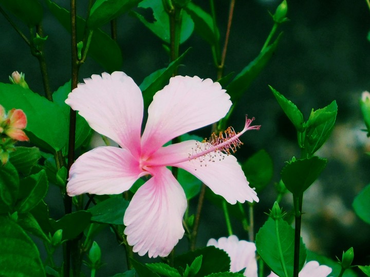 The beauty of nature