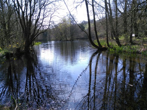 A little lake on Dartmoor.