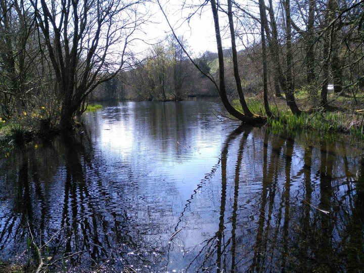 A little lake on Dartmoor.