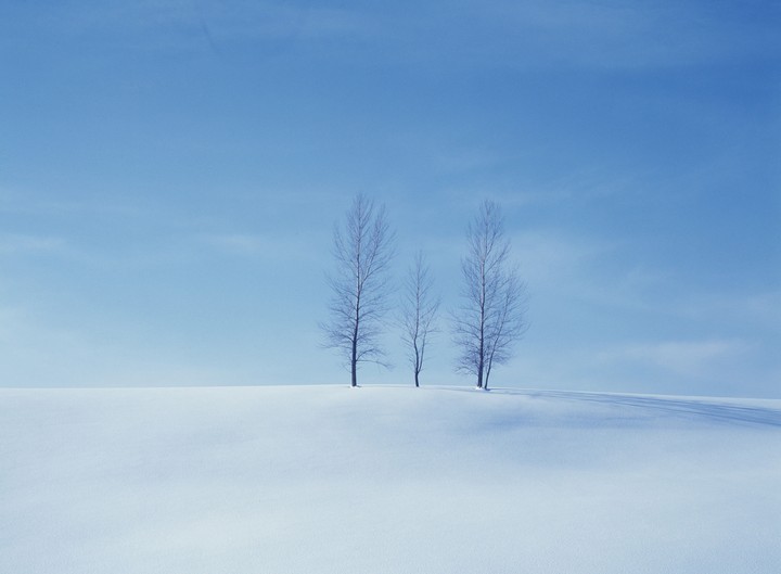 Seasonal Landscape