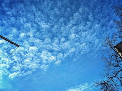 Serenity
