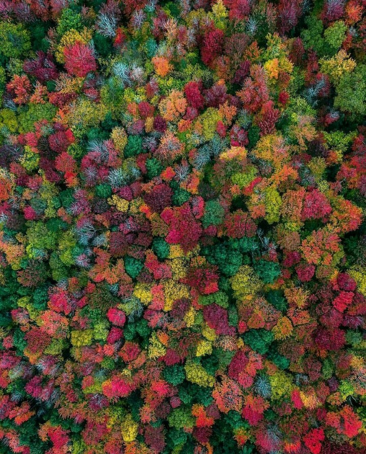 colorful