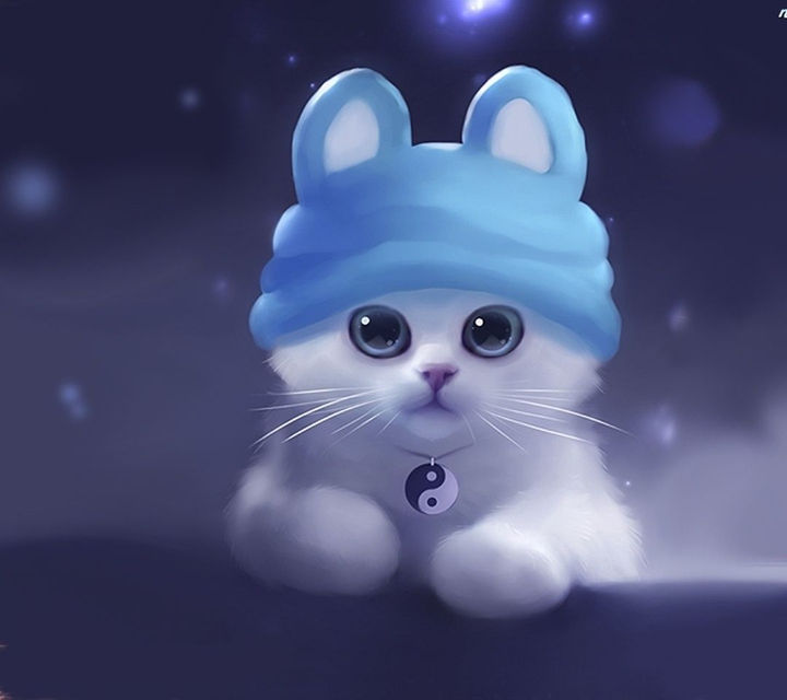cute cat