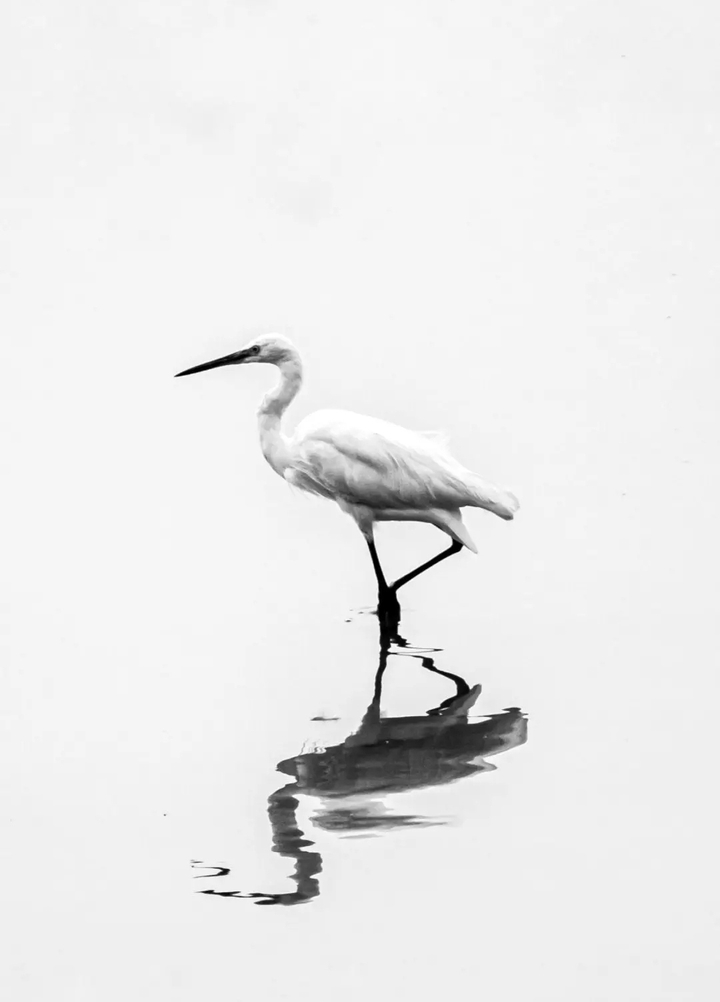 water