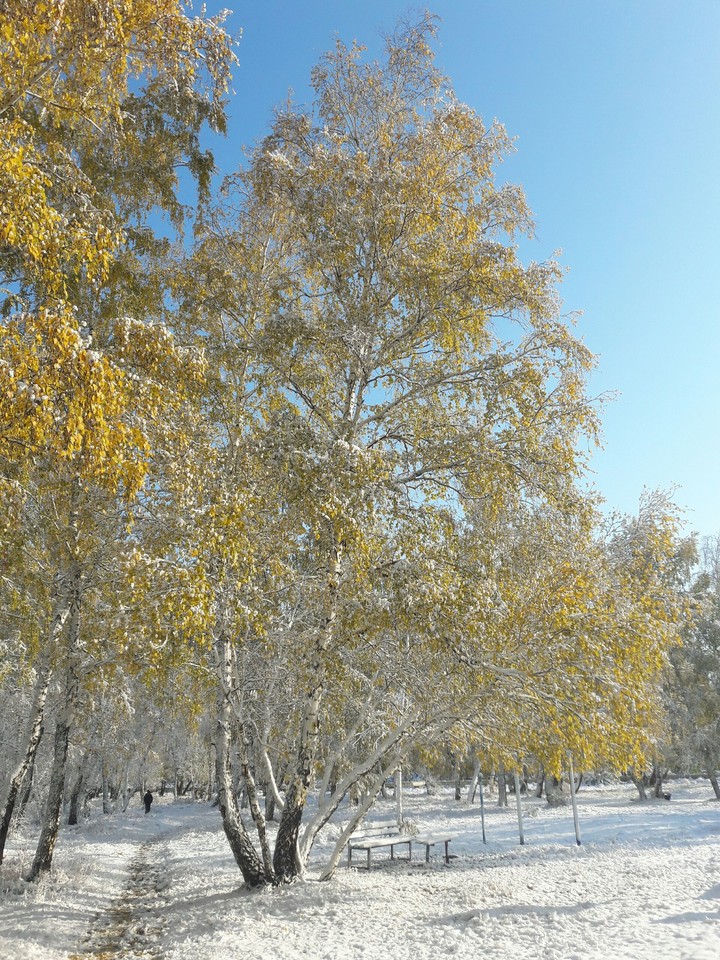 Первый день зимы