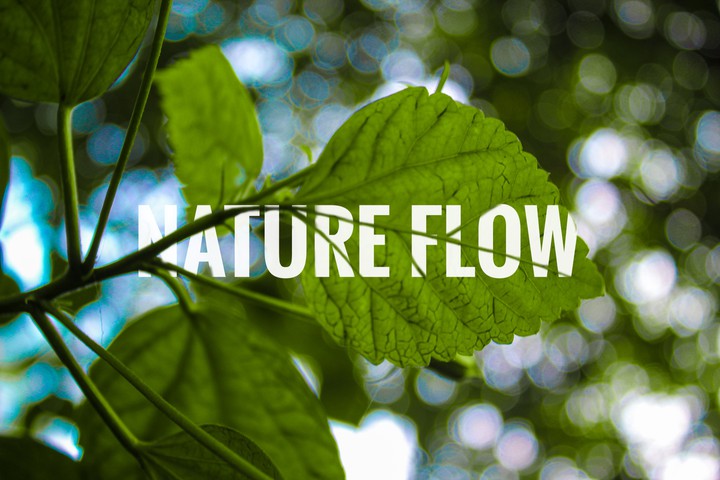 nature flow