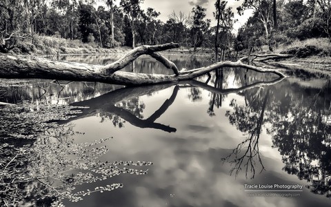 Photographer