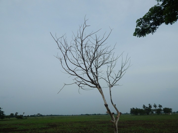 Nature beauty!!!