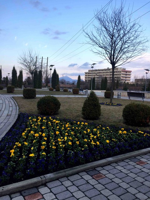 Path
