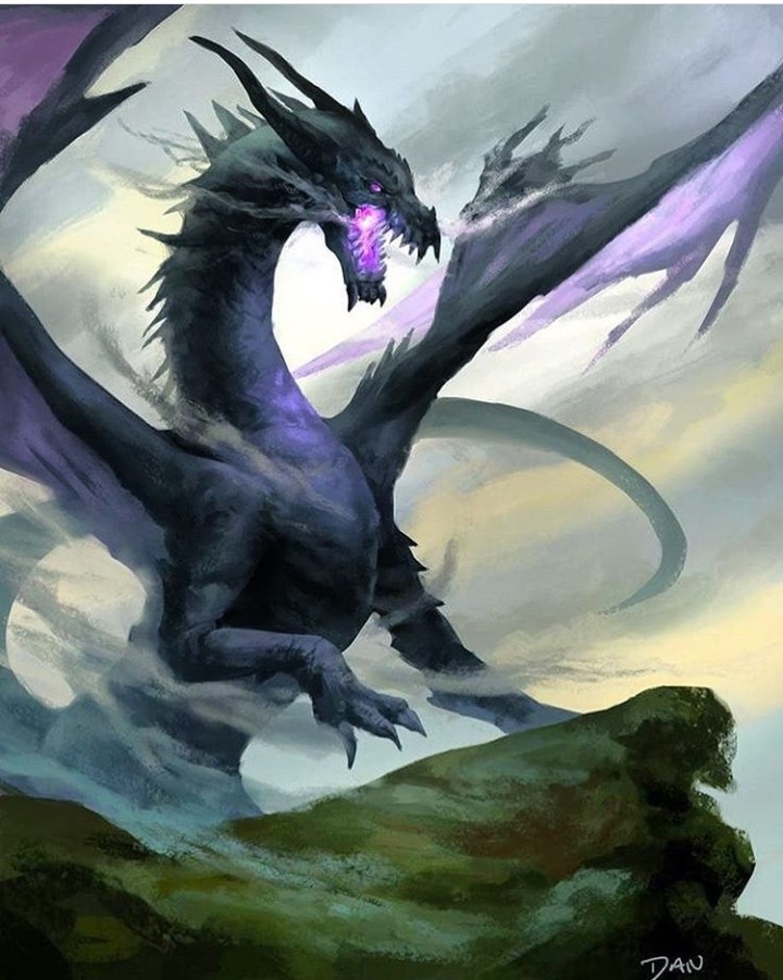 dragon