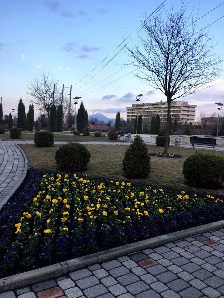 Path