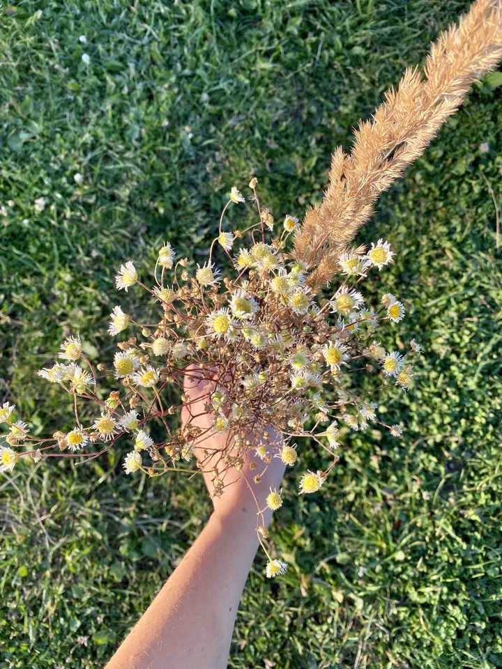 bouquet