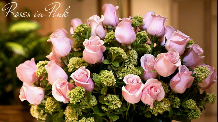 Roses in Pink.