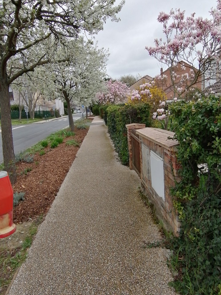 Cergy Krajobraz
