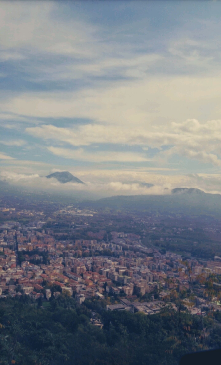 view