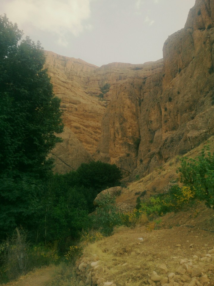 iran, fars, shiraz