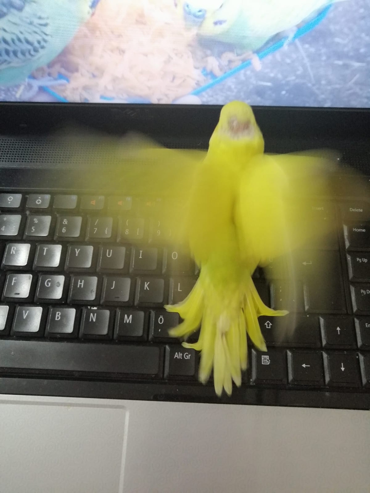:}