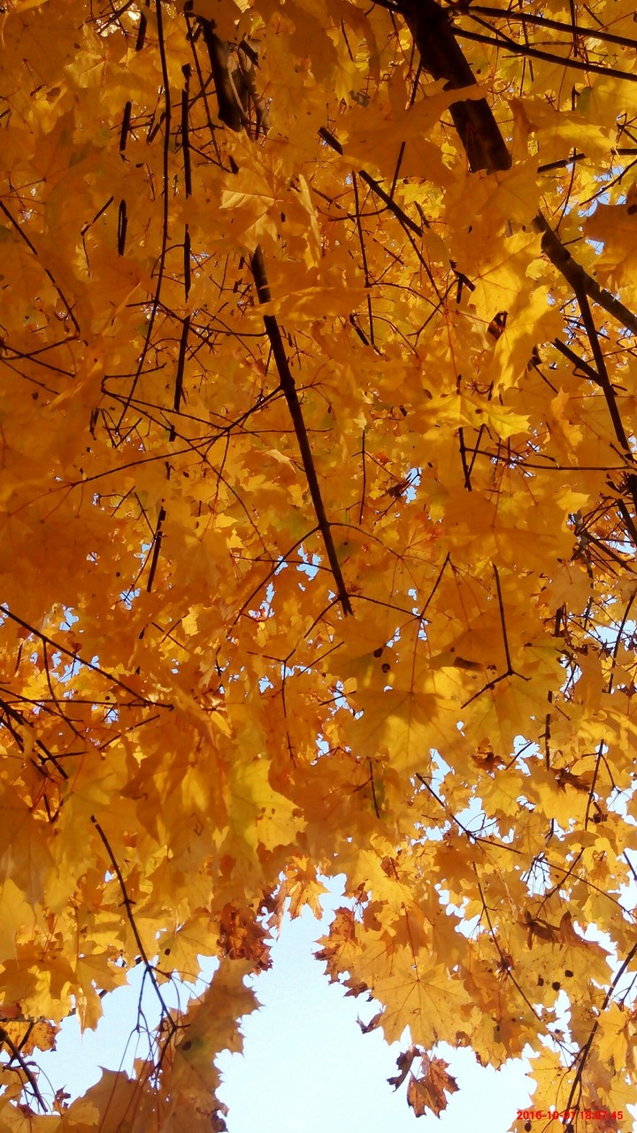 Autumn