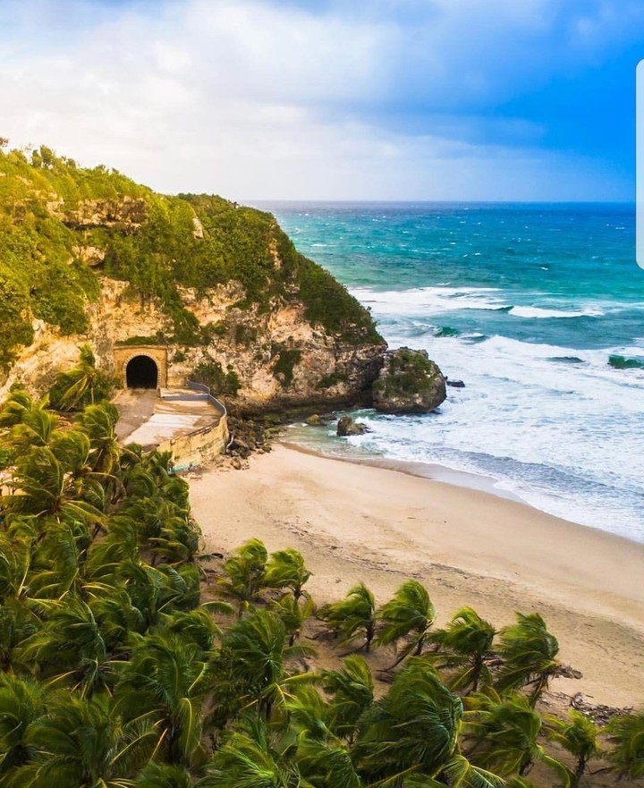 Tunnel and ocean