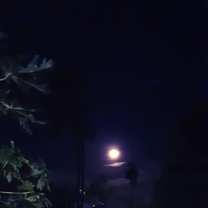 MOON