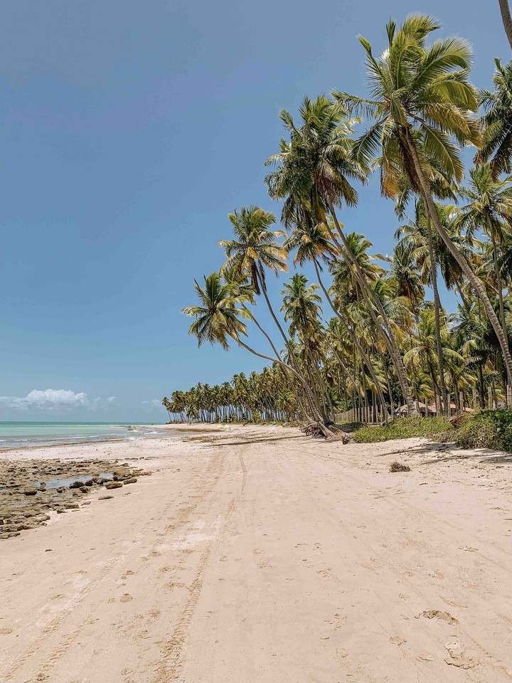 Praia de Carneiros - Tamandaré - PE