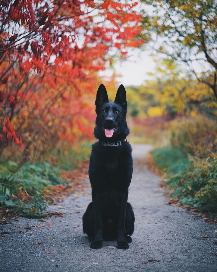 ~