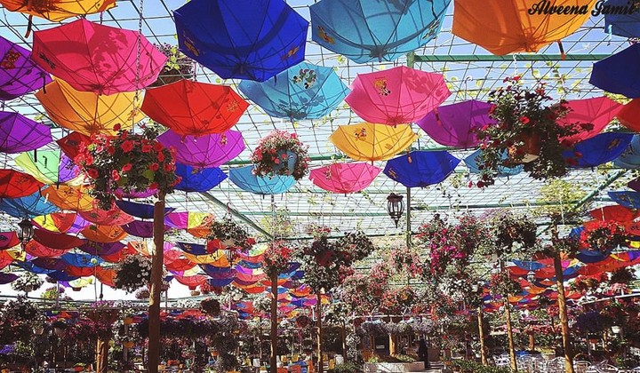 Miracle Garden