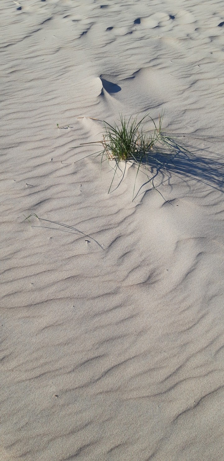 Sand