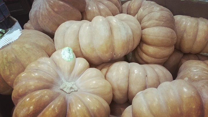 fairy tale pumpkin