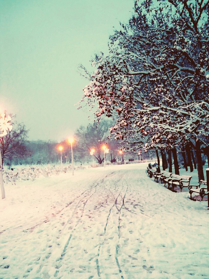 Winter Wonderland