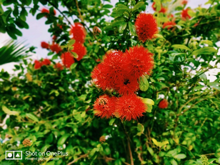 Abhijith clickz
