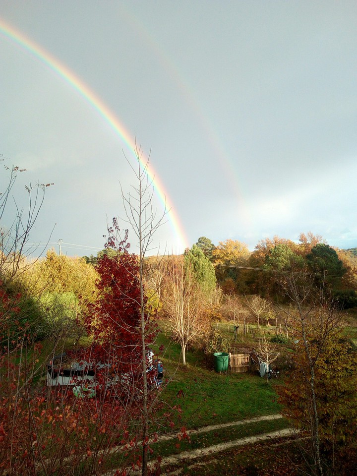 Rainbow