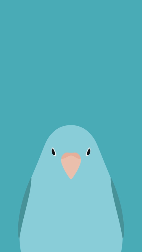 Blue parakeet