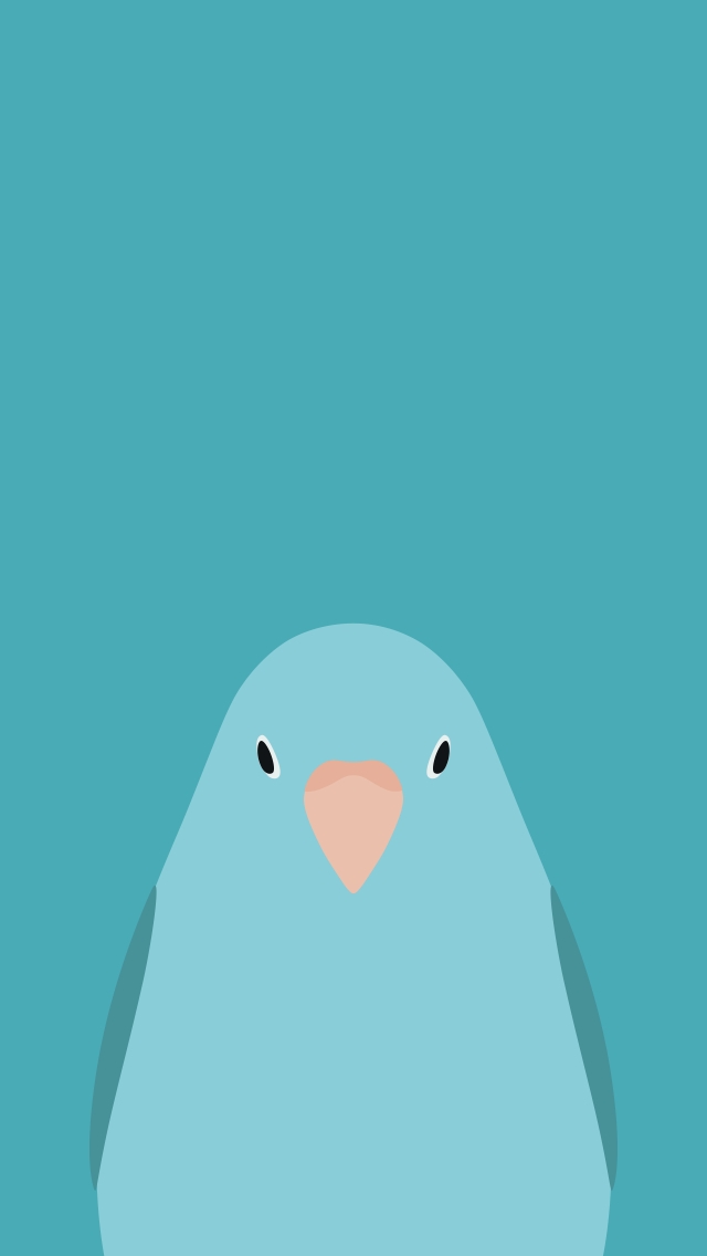 Blue parakeet