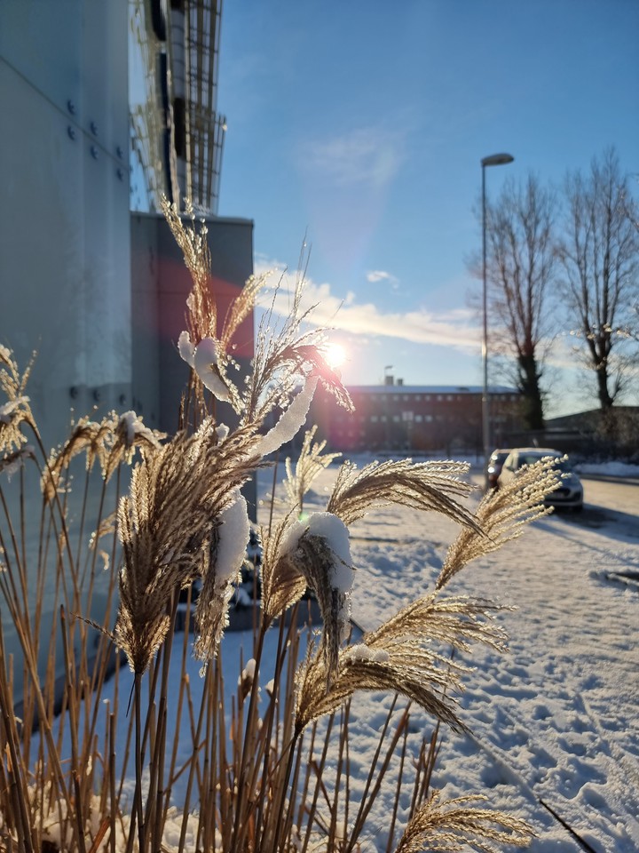 snow and sun