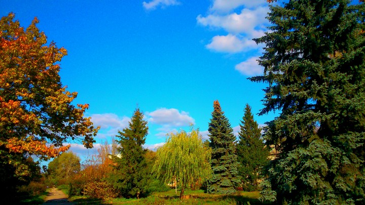 Autumn park