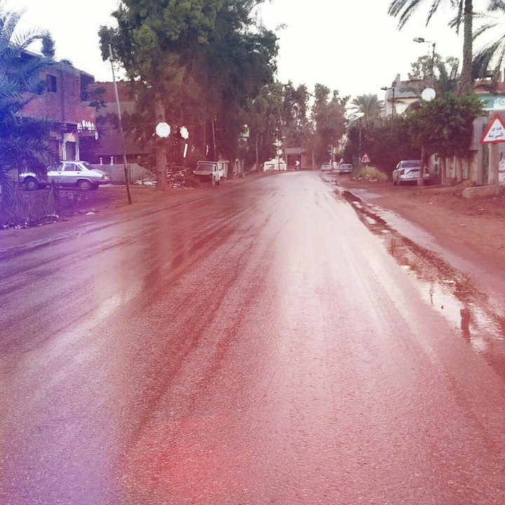 wet road in the country