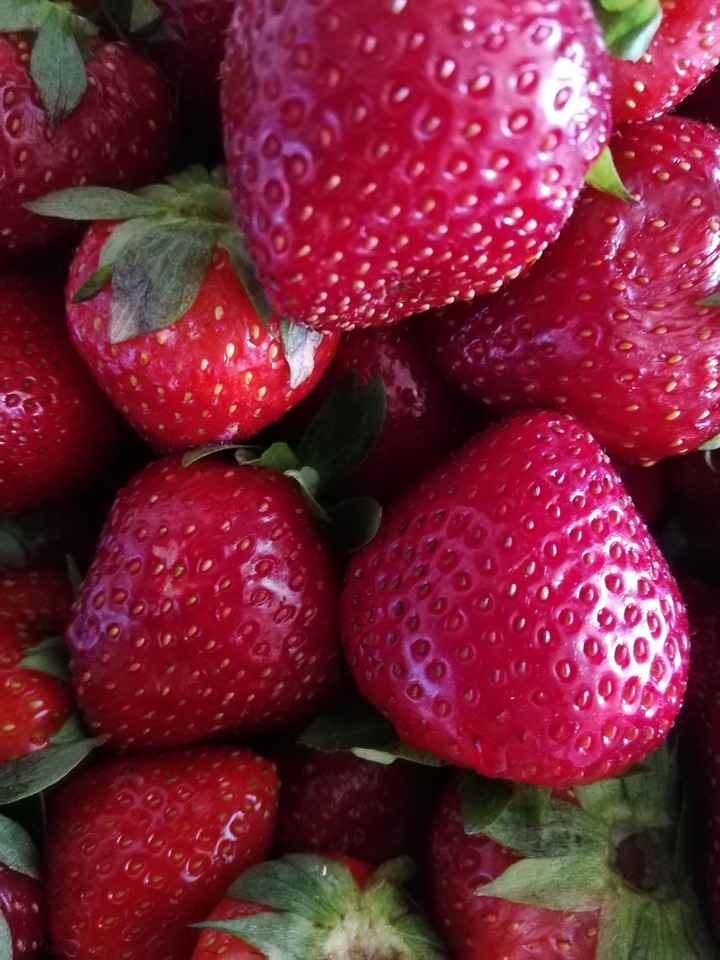 fruits