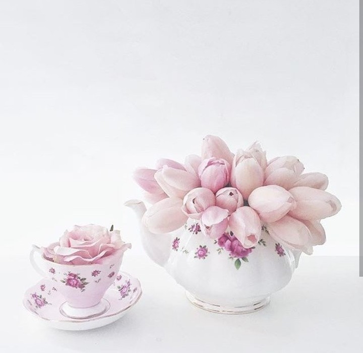 soft beuty