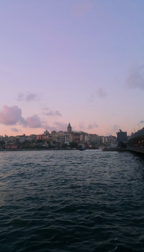 רקעים pink, lake