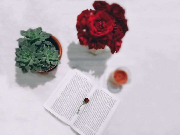Book
