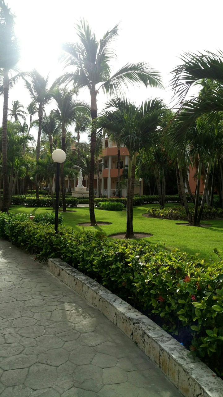 Paradise place