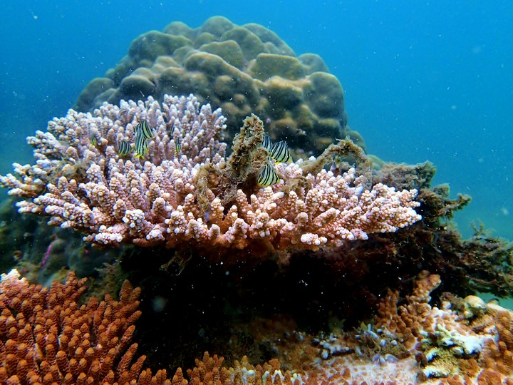 Sibu Island, Malaysia