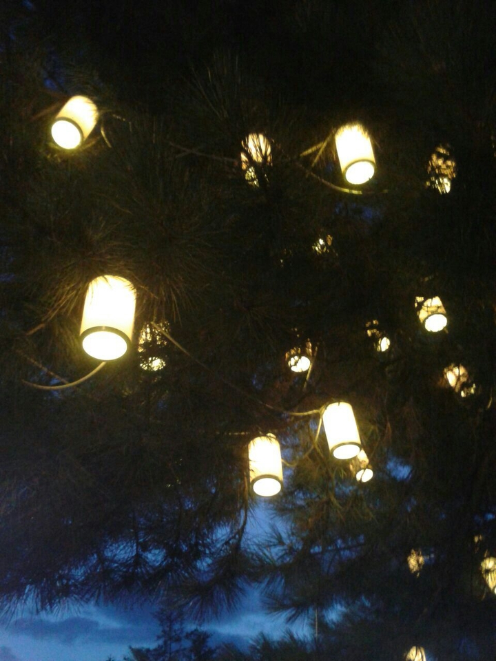 light